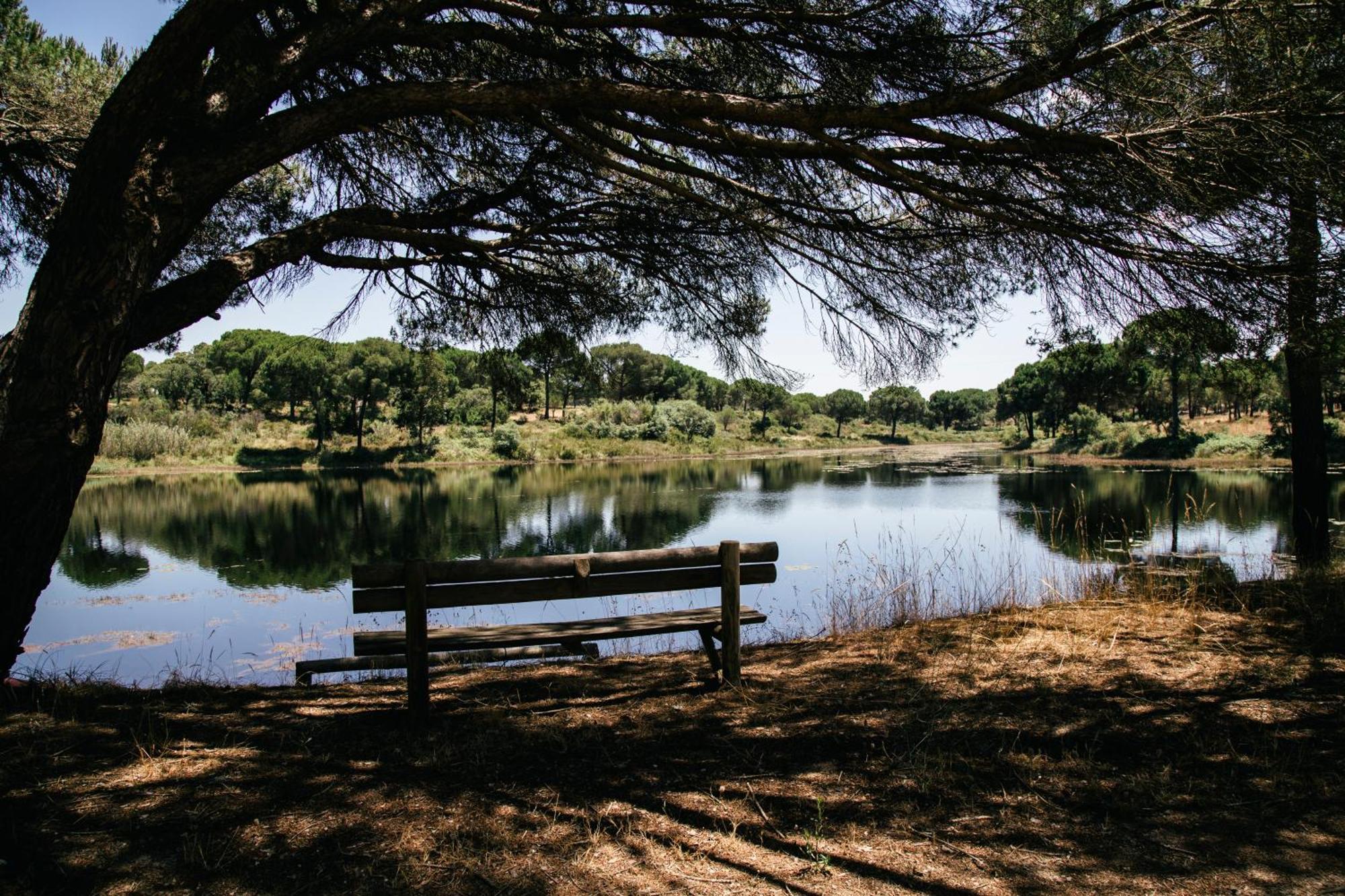 Herdade De Montalvo - Comporta Kültér fotó