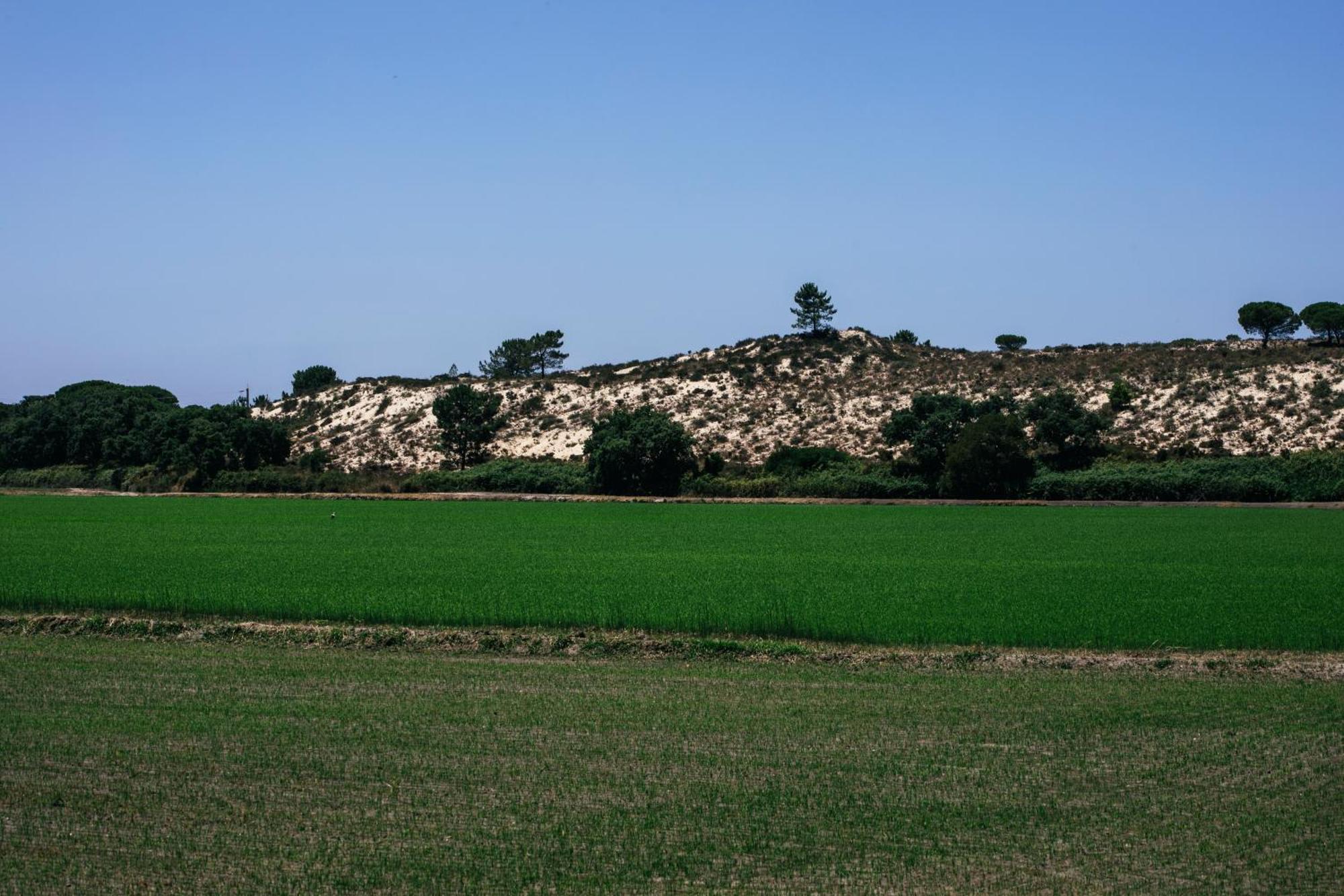 Herdade De Montalvo - Comporta Kültér fotó