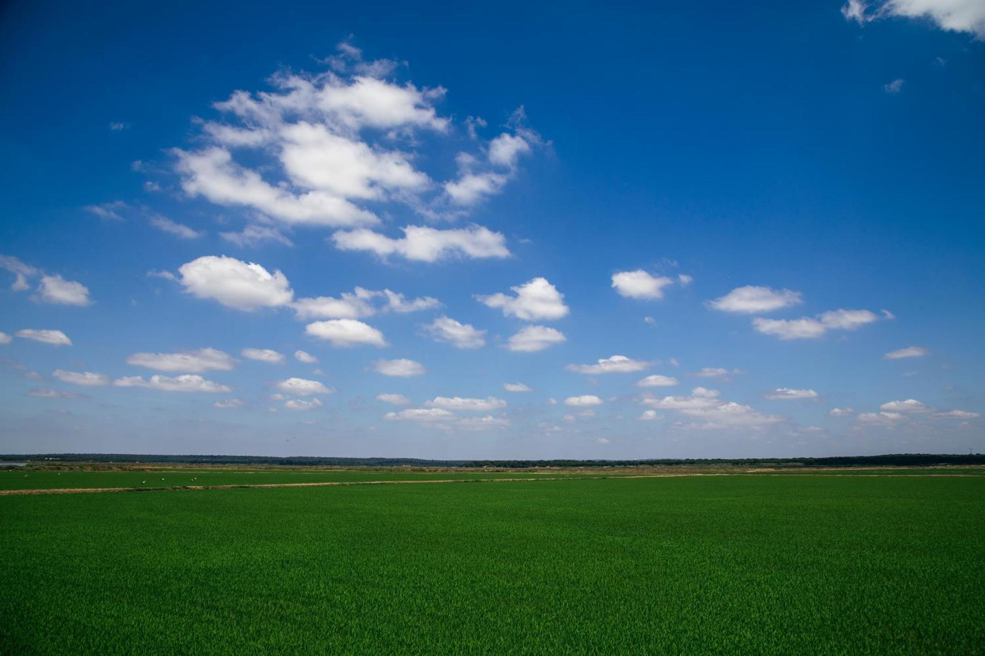 Herdade De Montalvo - Comporta Kültér fotó