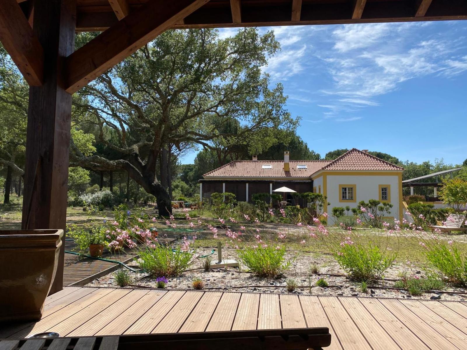Herdade De Montalvo - Comporta Kültér fotó