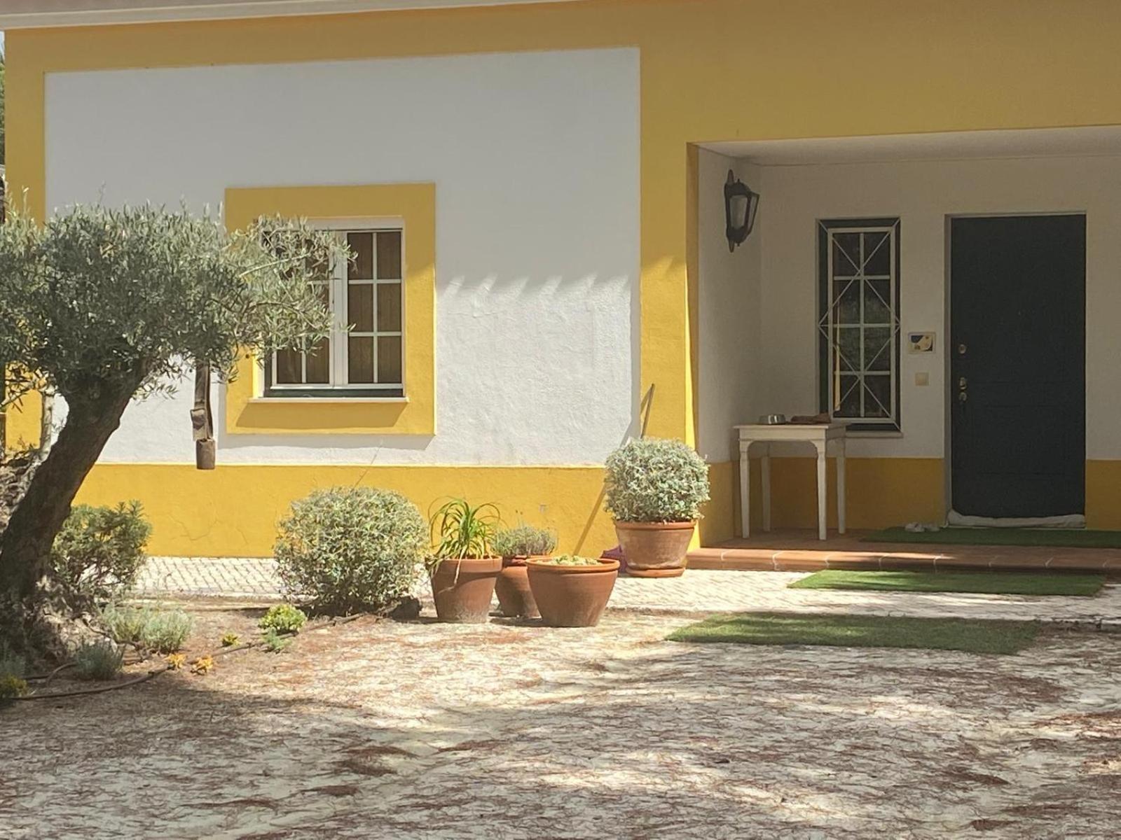 Herdade De Montalvo - Comporta Kültér fotó